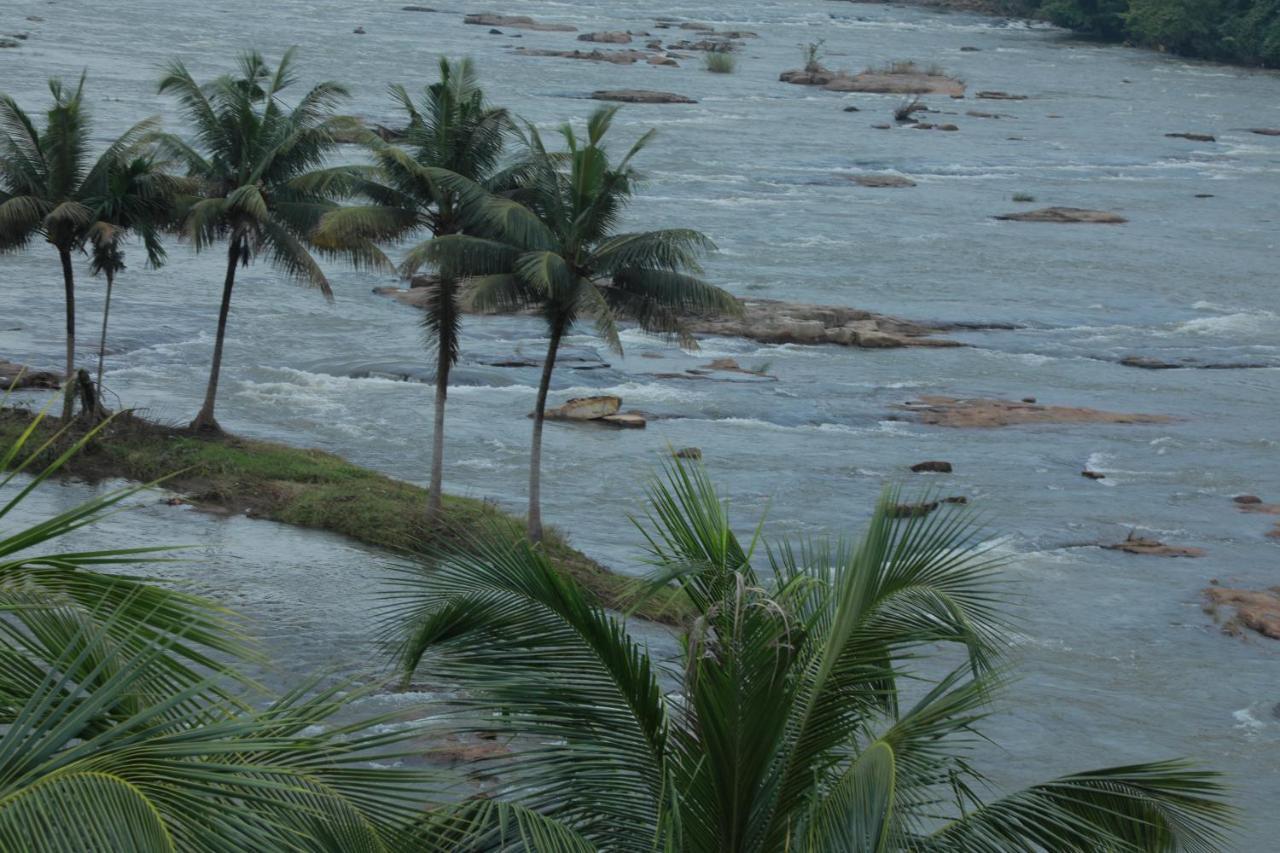 The Anchorage Athirapilly Resort أثيرابالي المظهر الخارجي الصورة